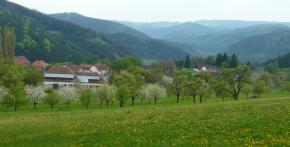 Jarní výhled nad Bolešínem