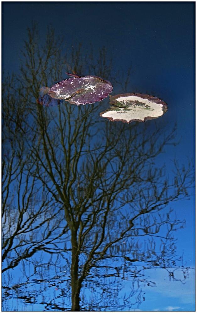 UFO nad Veselí