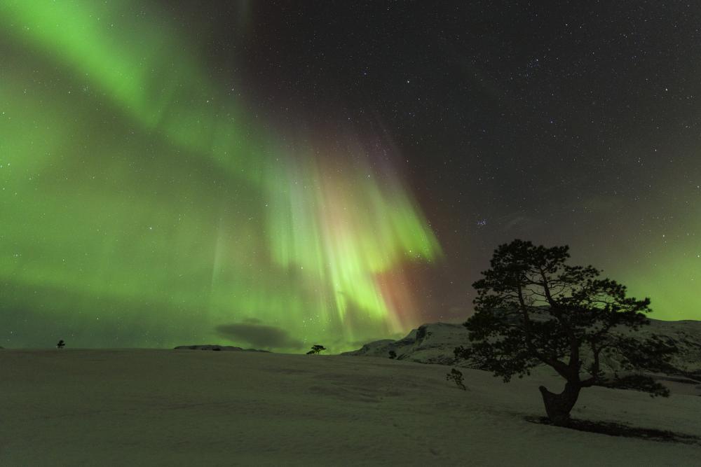 Arctic Light over Reinneset