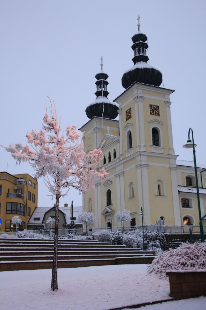 Růžová plastika