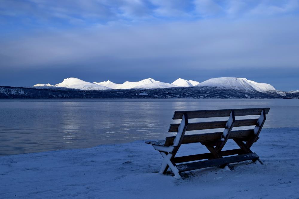 A Bench with a View
