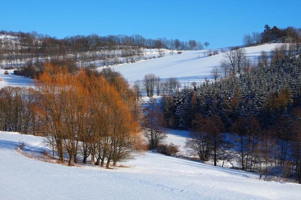 Krajina u Veselí