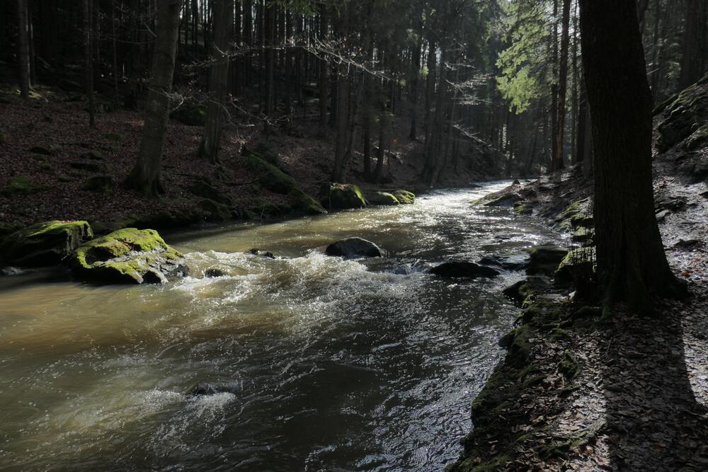 Jarní světla a stíny