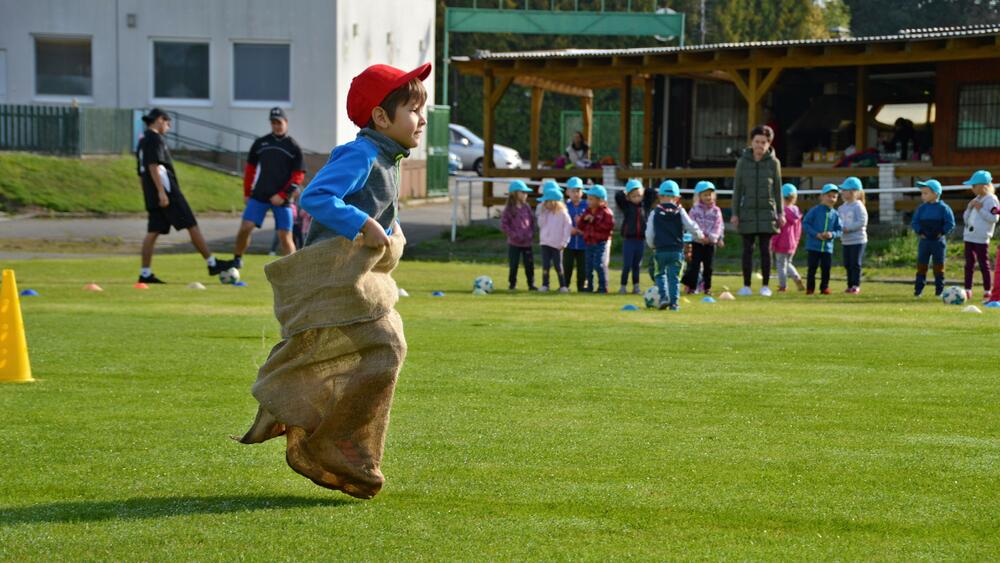 Zajíc v pytli